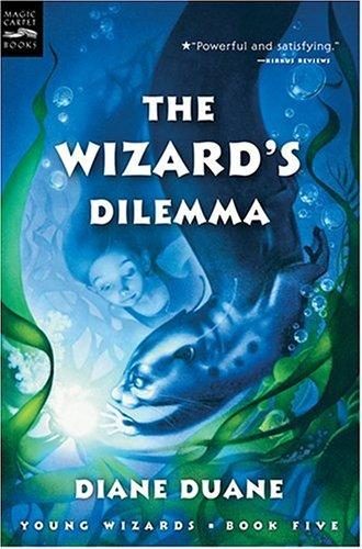 The Wizard’s Dilemma cover