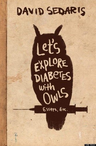 Let’s Explore Diabetes with Owls cover