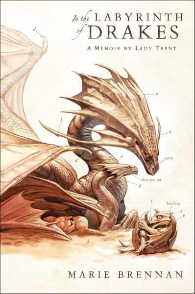 In the Labyrinth of Drakes cover