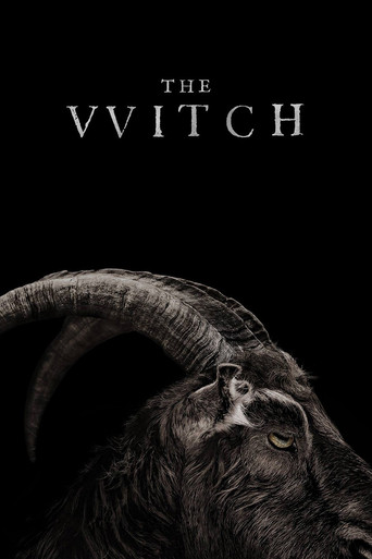The VVitch poster